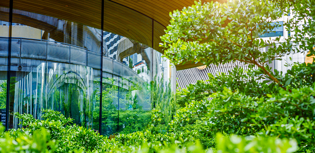 Greenery helping to produce clean air outside of a glass-front office building.