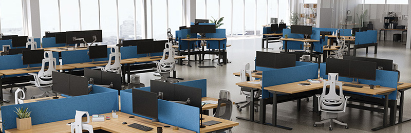 A large office with rows of desks featuring blue acoustic panels, creating individual workstations in an open-plan layout.