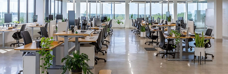 Modern open office with multiple UPLIFT Desk products for a complete turnkey workspace setup.