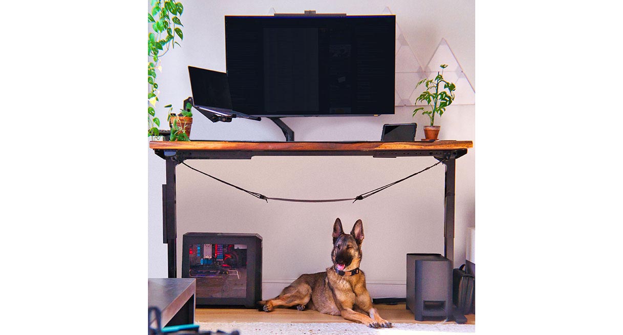 Saman Live Edge Wide Plank Solid Wood UPLIFT V2 Standing Desk