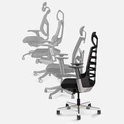 Ergonomic Office Chairs