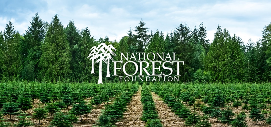 A National Forest Foundation New trees are planted to offset trees used for lumber