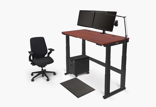 4-leg 60x30 height adjustable standing desk with accessories