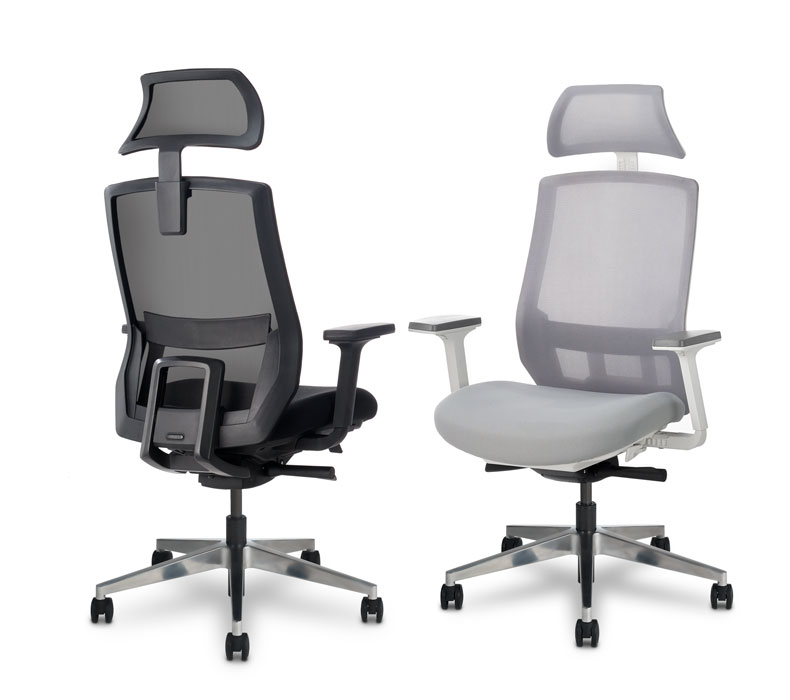 Verte Chair, Best Ergonomic Chair, Lumbar Support Chair