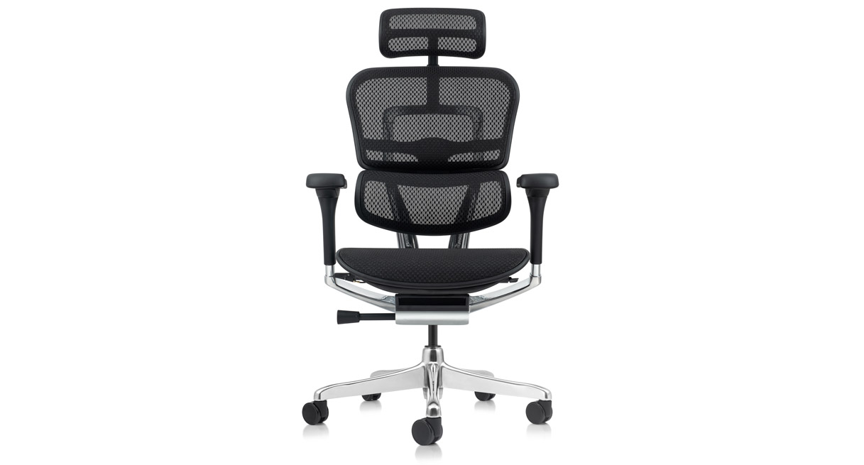 Aaron Living Ergonomic Office Chair Back Lumbar Support